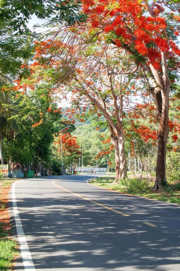 Homstay Thanh Son Chi Khu Co Ong Bagian luar foto